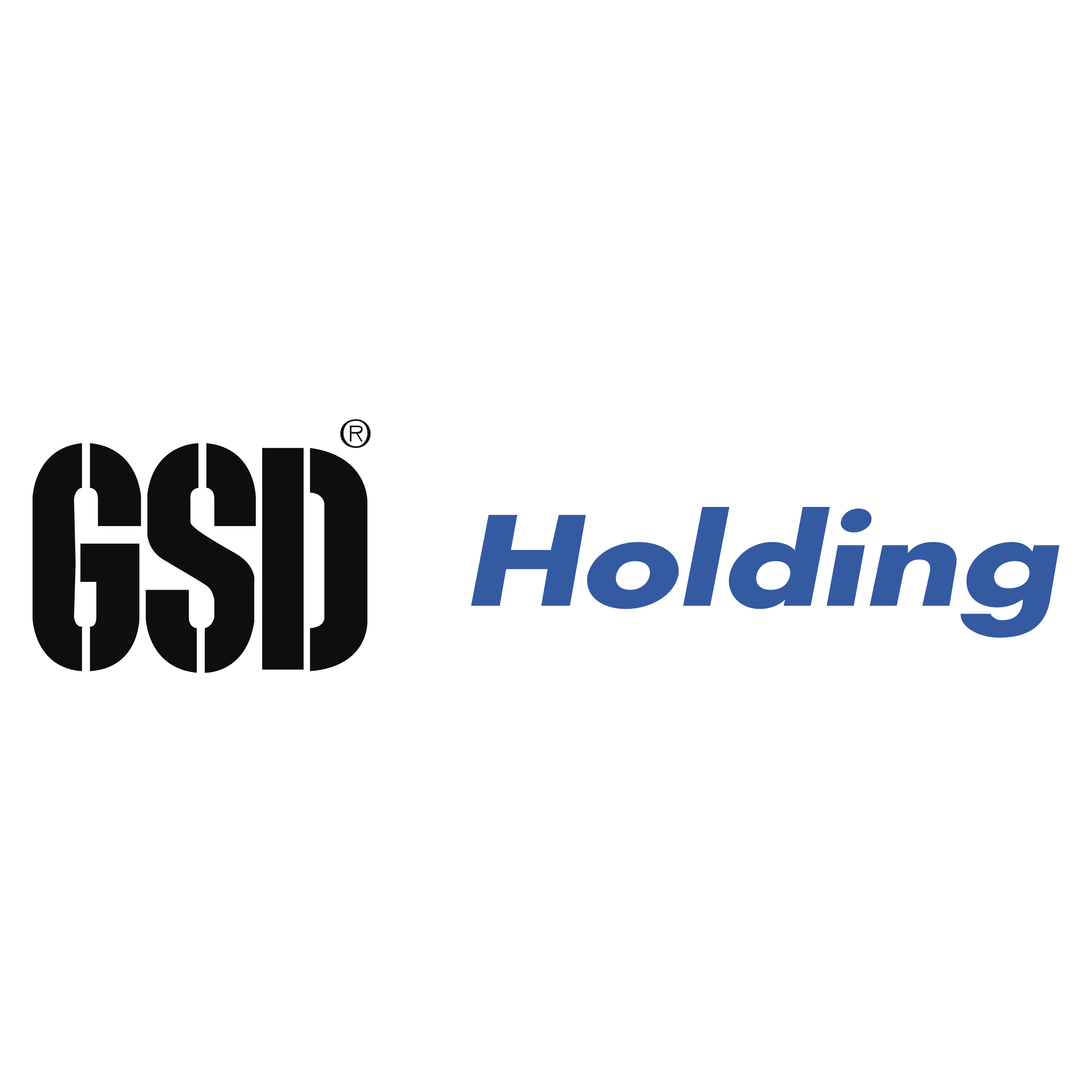 GSD Holding